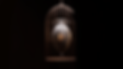 img_2.png