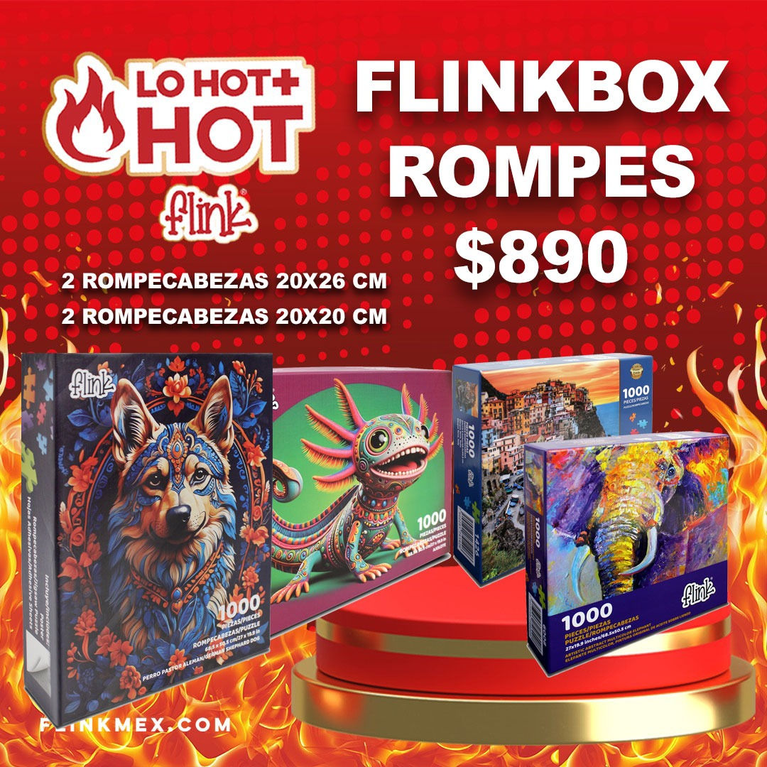 FLINKBOX ROMPES