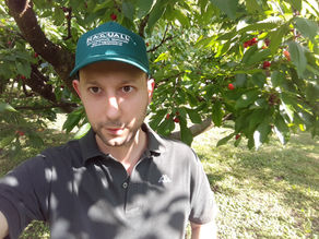 "Come bloccare la tremenda mosca DROSOPHILA SUZUKII tramite un prodotto repellente al 100% naturale"