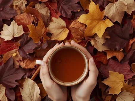 🍂 La Transformation : un chemin d’automne vers soi