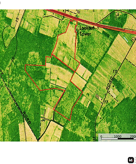 Map Image 2