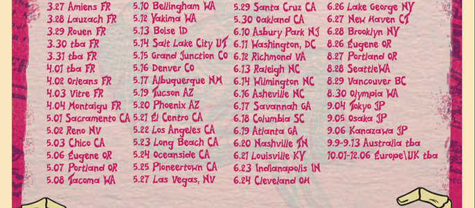 THE DARTS (US) ON TOUR SOON
