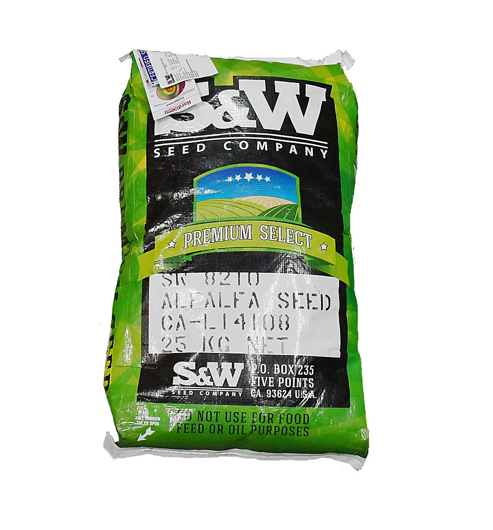Alfalfa Alabama SW-8210