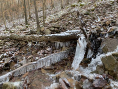 Bear Creek Preserve