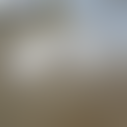 Terrazzo floor restoration and refinishing in Beverly Hills, Florida