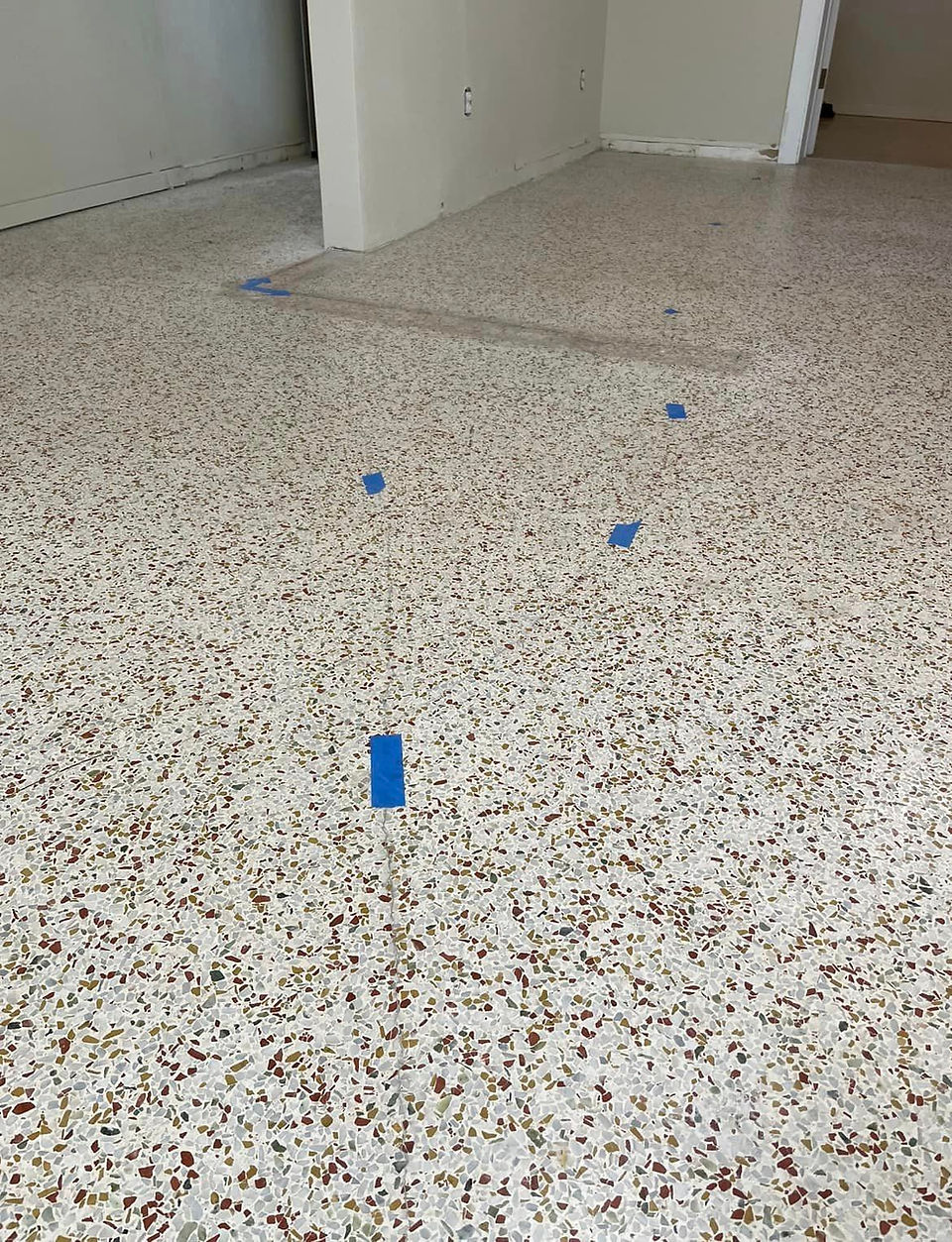 terrazzo floor restored in florida