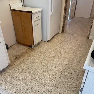 Terrazzo floor restoration and refinishing in Beverly Hills, Florida