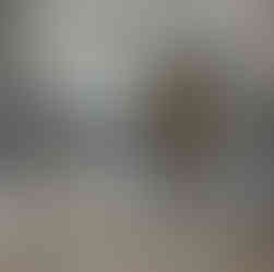 terrazzo floor restoration