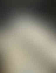 terrazzo floor refinishing