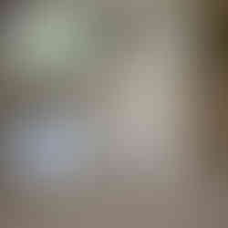 Terrazzo floor restoration and refinishing in Beverly Hills, Florida