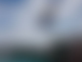 Valley diver Anahit Cholakyan qualifies for the state championship