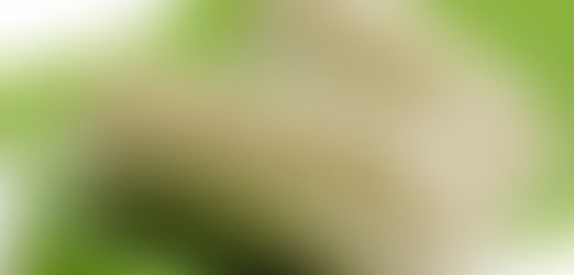 Ei você, Vegano, uma boa notícia