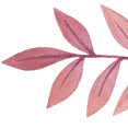Blatt                                                   