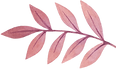 decorative leaf element