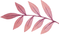 Blatt