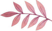 feuille
