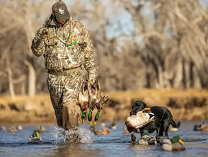 Duck hunting.webp