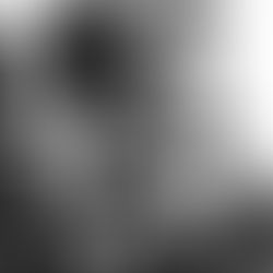 Upper Echelon-like Quaint (Writer's favorite)