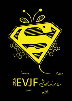 Tee shirt EVJF