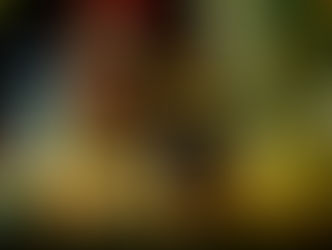 ▼Instagramを開始しました。