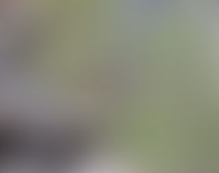 Tom L. Johnson Plaza