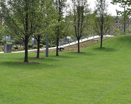 Gund Foundation Green