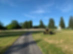 IMG-5585.jpg