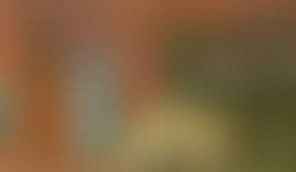 Morning Manna | Matthew 16:8-10 | No Bread?