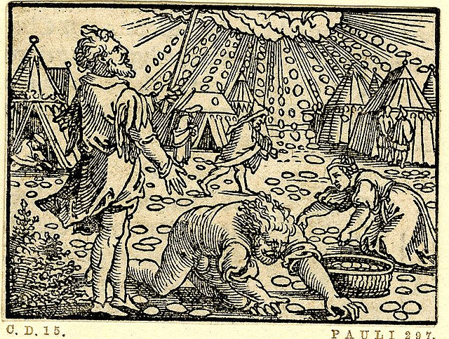 People gather manna in a camp with tents. One kneels to scoop, another looks up. Ray-like lines from clouds. Monochrome illustration.