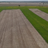 Screen Shot 2021-08-16 at 3.08.38 PM.png