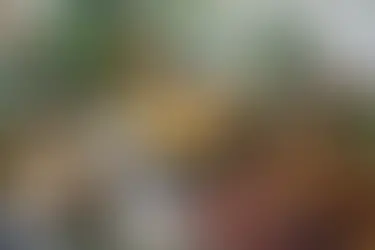 Küçük bir kafe açmak için gerekli malzemeler; kahve ekipmanları, fincan ve bardaklar, servis ürünleri, mutfak gereçleri ve temel kafe ihtiyaçları.