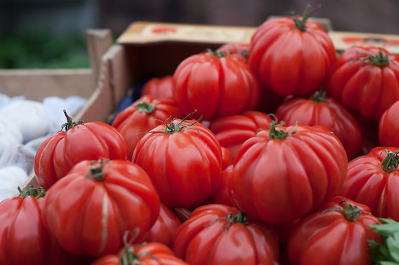 Best beefsteak tomato (beefsteak tomatoes, Chef Choice, beefsteak tomato) Best beefsteak tomato