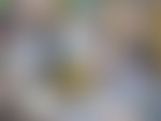 Comparativa clave entre montacargas eléctricos y de combustión en operaciones industriales