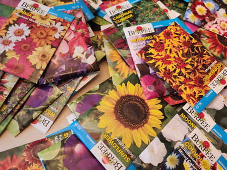 Spring Therapeutic Horticulture for Memory Care