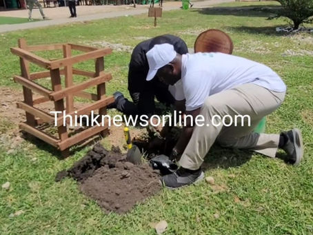 "Embrace ‘tree for life’ reforestation initiative to secure nation’s green future" - Lands Minister urges Ghanaians