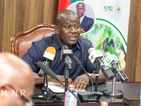 "Let us join hands and Green Ghana on June 9" - Lands Minister