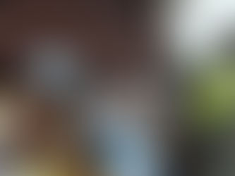 Ga Mantse pledges support for Mayor of Accra in clean city agenda