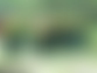 Deputy Lands Minister commends Newmont Ghana for its forest offset restoration project