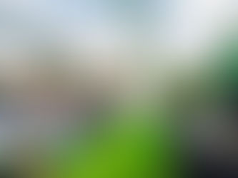 Lands Minister joins Diplomatic Corps to mark 2023 Green Ghana Day