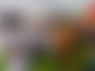 EOCO celebrates milestones, charts path for promising 2025