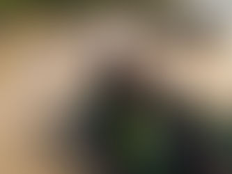 “Operation Halt Has Led To The Arrest Of Two Chinese Nationals" - Defense Minister (Pictures)