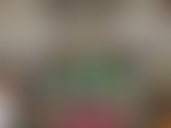 FROM PEW TO PULPIT: Holy Spirit Cathedral's homecoming ushers in youth-led future