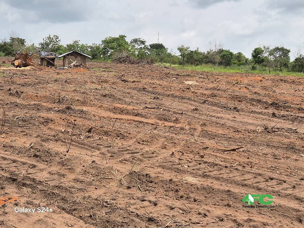 Bosomoa Forest Reserve under threat as 20 acres cleared for proposed health college