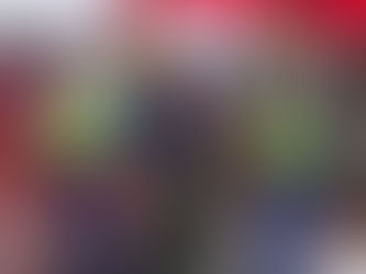 Zoomlion lauded for its exceptional clean up for the inauguration ceremony