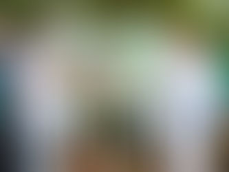 "We appeal for technical support to assist in our fight against illegal mining" – Deputy Lands Minister to Diplomatic Corp