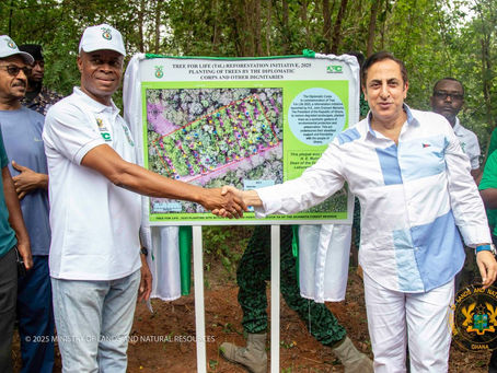 "We appeal for technical support to assist in our fight against illegal mining" – Deputy Lands Minister to Diplomatic Corp