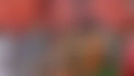 Former Columbus Mayor pays courtesy call on Ga Mantse to strengthen sister-city ties