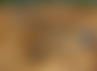 Four Chinese illegal miners disappear in police custody, leaving six Ghanaians to stand trial