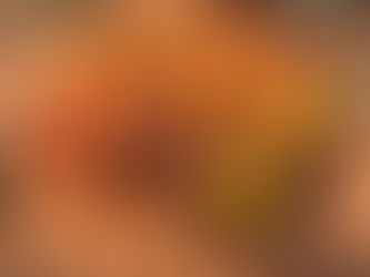 Ghana Immigration Service intercepts 45 gallons of fuel smuggled to Togo