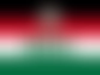 NDC disability desk condemns brutal attack on deaf supporter in Western North